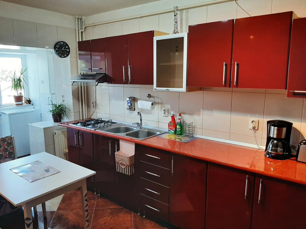 Ultracentral,Parcul Catedralei,Apartament 2 Camere 巴克乌 外观 照片